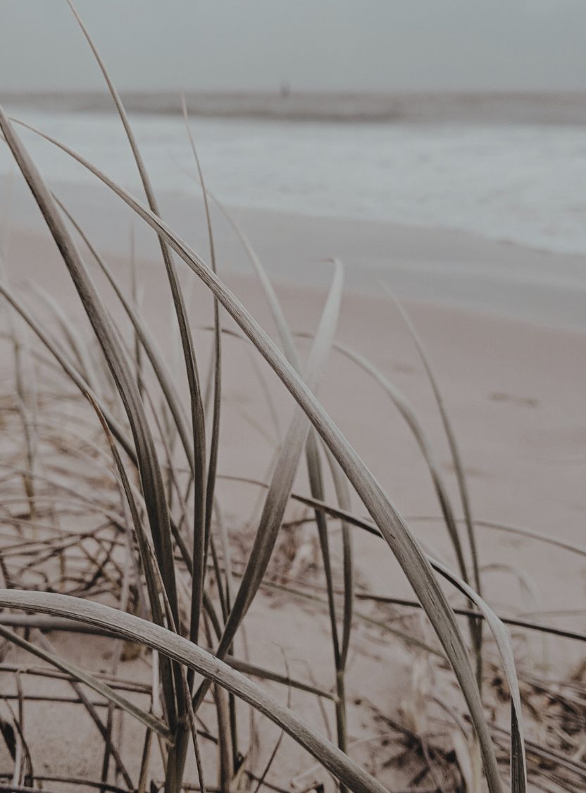 Tranquil shoreline